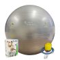 Bola Ginástica Profissional - Gym Ball 75cm - Prata - Athi