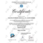 Trampolim 5 Molas Alto Rendimento - Certificado FIG - Gaofei 