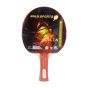 Raquete Tênis De Mesa Treino 3 Stars - Delta - Gold Sports