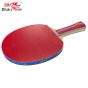 Raquete Profissional Para Tênis de Mesa - 2A+C -2 Estrelas - ITTF - Double Fish