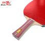 Raquete Profissional Para Tênis de Mesa - 2A+C -2 Estrelas - ITTF - Double Fish