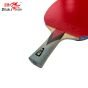 Raquete De Tênis De Mesa Clássica 4 Estrelas Alto Rendimento + 2 Bolas - 4A+C - ITTF - Double Fish