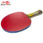 Raquete Profissional Para Tênis de Mesa - 6A+C - 6 Estrelas - ITTF - Double Fish
