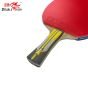 Raquete Profissional Para Tênis de Mesa - 6A+C - 6 Estrelas - ITTF - Double Fish