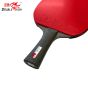 Raquete Profissional Para Tênis De Mesa - Black Carbon King - 5 Estrelas - ITTF - T.A.A - Double Fish