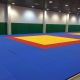 Tatame Judô Olímpico 40mm - Oficial IJF - Taishan Sports