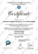 Conjunto Colchões Pórtico Argolas Ginástica Artística - Certificado FIG