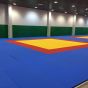 Tatame Judô Olímpico 50mm - Certificado IJF - Taishan Sports