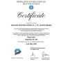 Pórtico De Argolas Para Ginástica Artística - Certificado FIG - Gaofei Sports