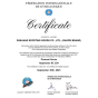 Cavalo Com Alças Para Ginástica Artística - Certificado FIG - Gaofei Sports