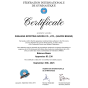 Trave De Equilíbrio Para Ginastica Artística - Certificado FIG - Gaofei Sports