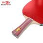 Raquete Profissional Para Tênis de Mesa - 2A+C -2 Estrelas - ITTF - Double Fish