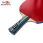 Raquete Profissional Para Tênis de Mesa - 3A+C -3 Estrelas - ITTF - Double Fish