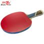 Raquete De Tênis De Mesa Clássica 5 Estrelas Alto Rendimento + 2 Bolas - 5A+C - ITTF - Double Fish