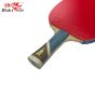 Raquete De Tênis De Mesa Clássica 5 Estrelas Alto Rendimento + 2 Bolas - 5A+C - ITTF - Double Fish