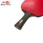 Raquete Profissional Para Tênis De Mesa - Black Carbon King - 3 Estrelas - ITTF - T.A.A - Double Fish