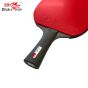 Raquete Profissional Para Tênis De Mesa - Black Carbon King - 5 Estrelas - ITTF - T.A.A - Double Fish