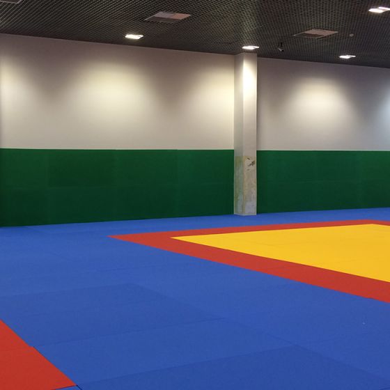 Proteção Parede Judô - Azul Esportes