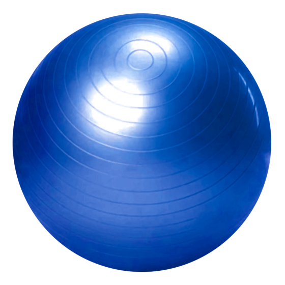 Bola Ginástica Profissional - Gym Ball 65cm - Prata - Olymport